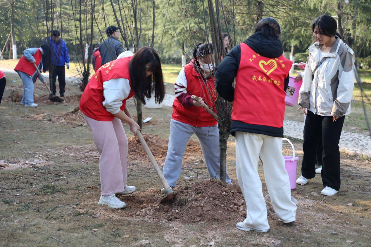 BETVLCTOR伟德在线