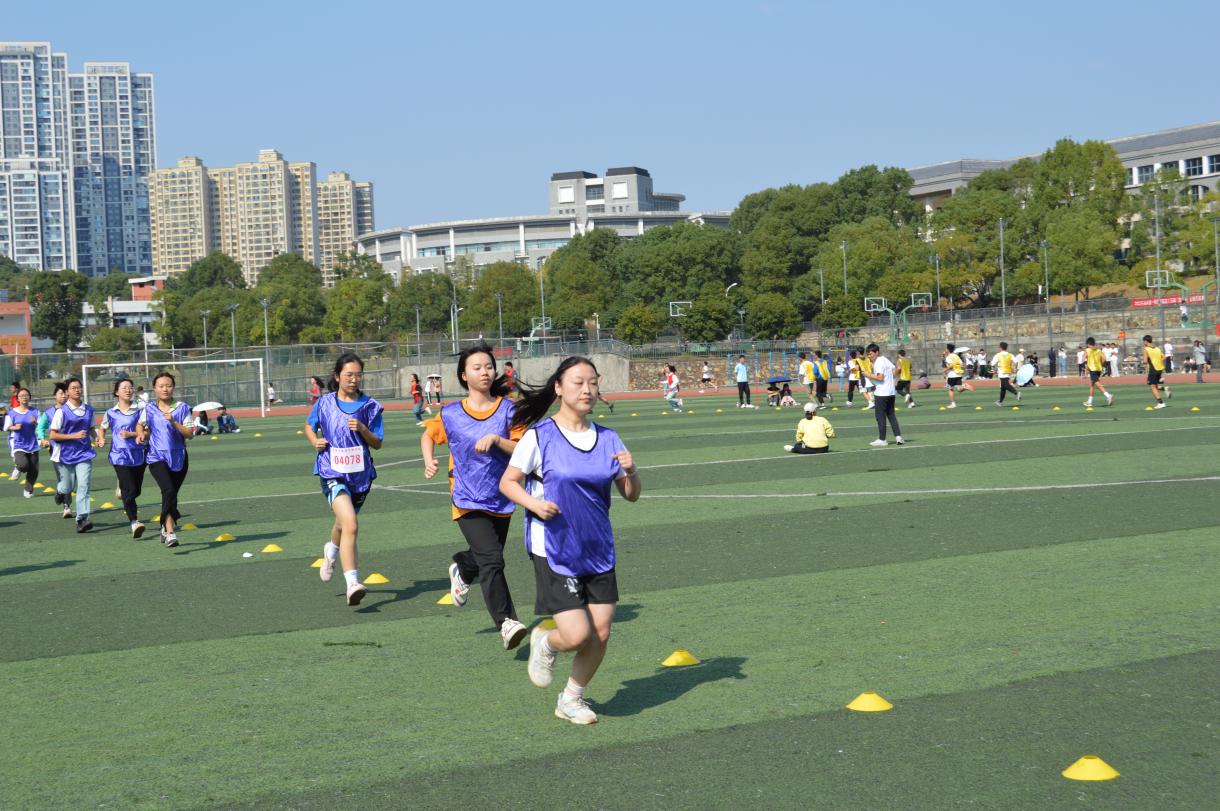 BETVLCTOR伟德在线