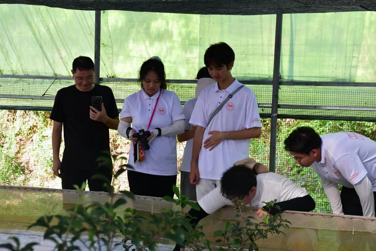 BETVLCTOR伟德在线