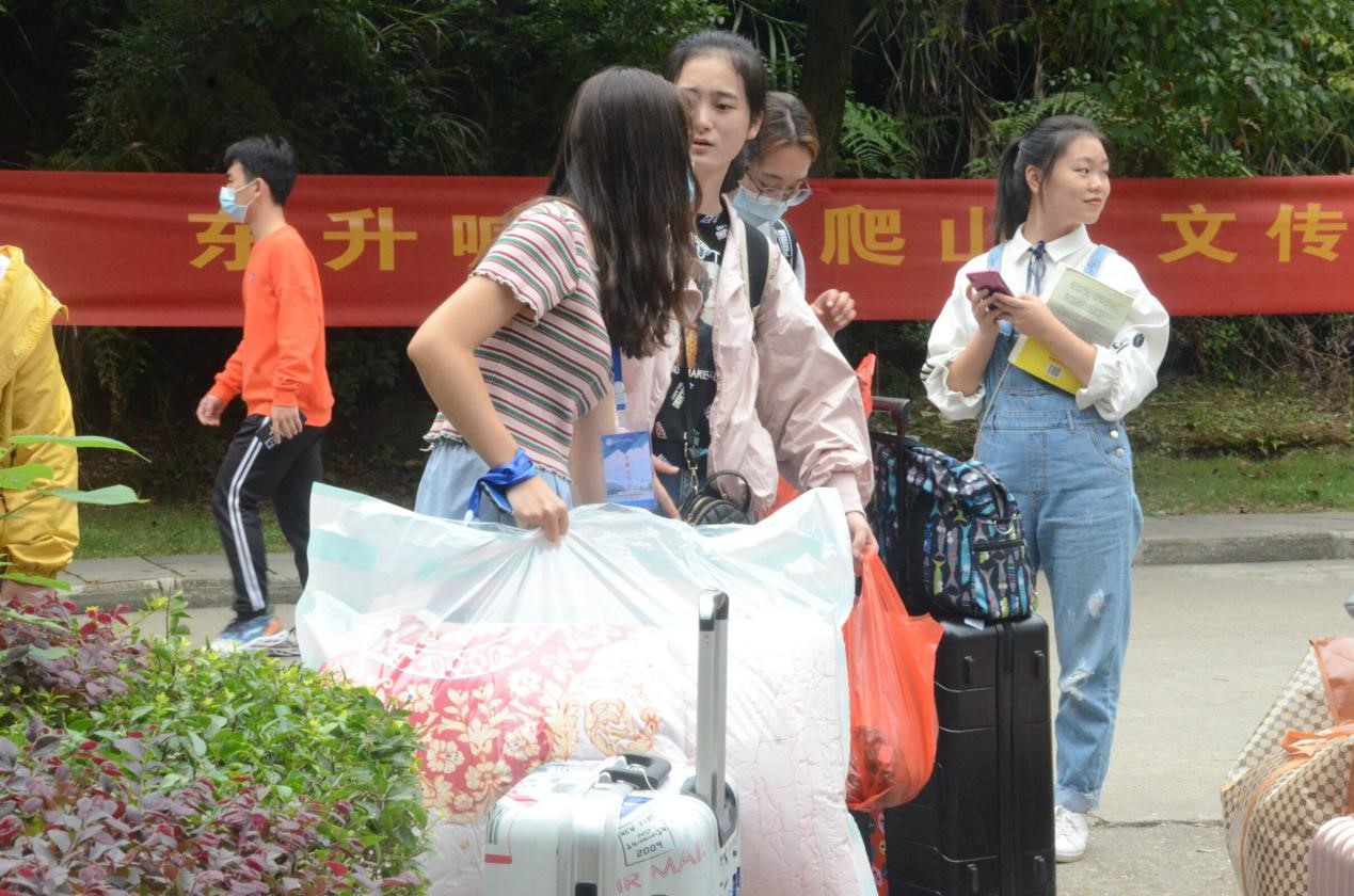 BETVLCTOR伟德在线