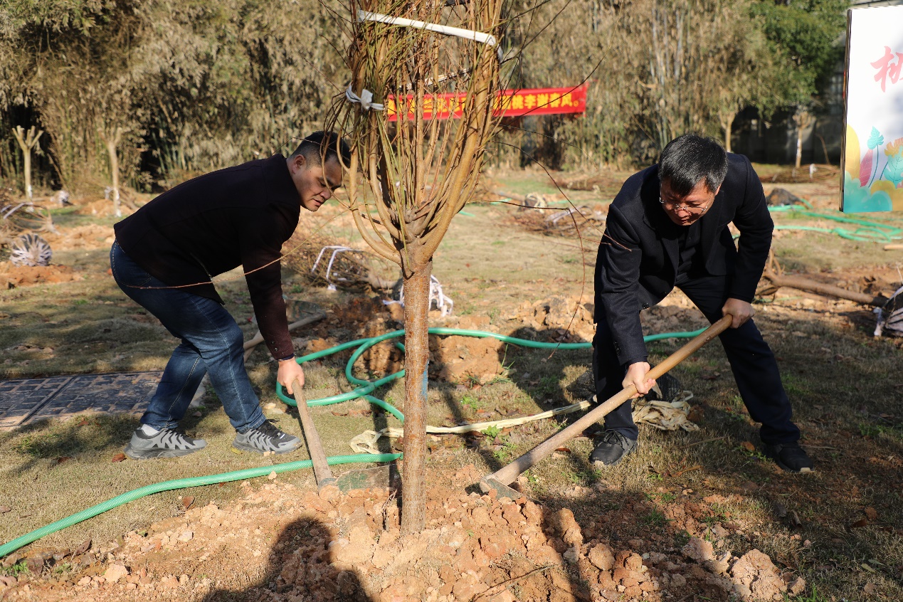 BETVLCTOR伟德在线