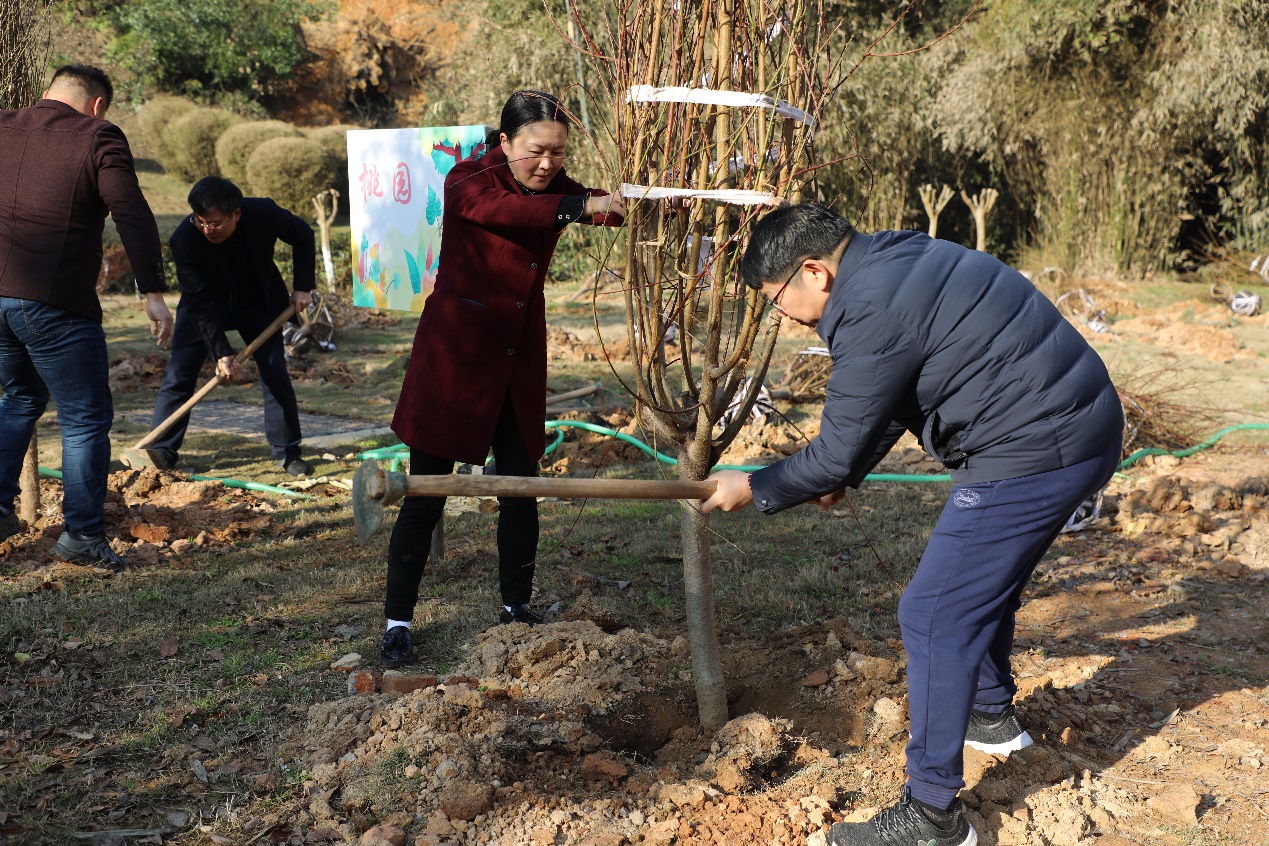 BETVLCTOR伟德在线