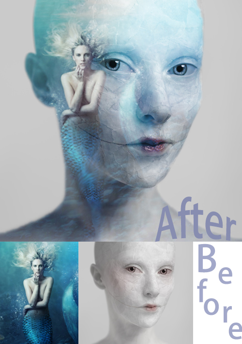 BETVLCTOR伟德在线