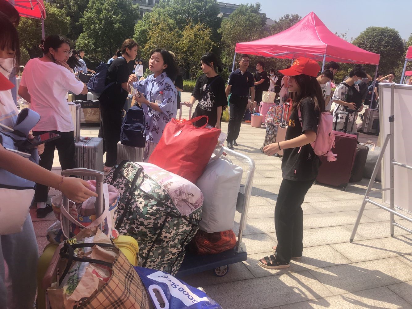 BETVLCTOR伟德在线