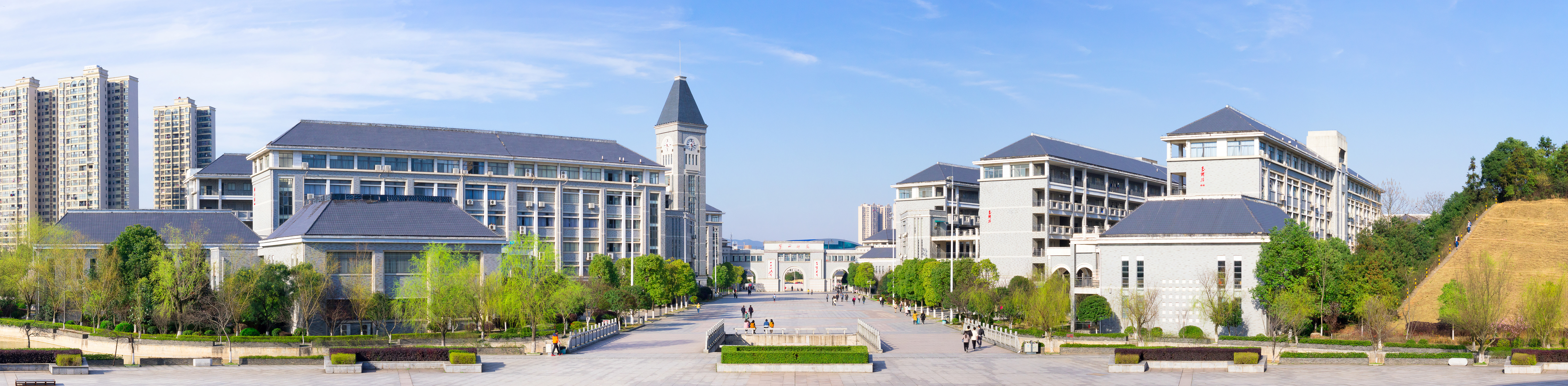 BETVLCTOR伟德在线